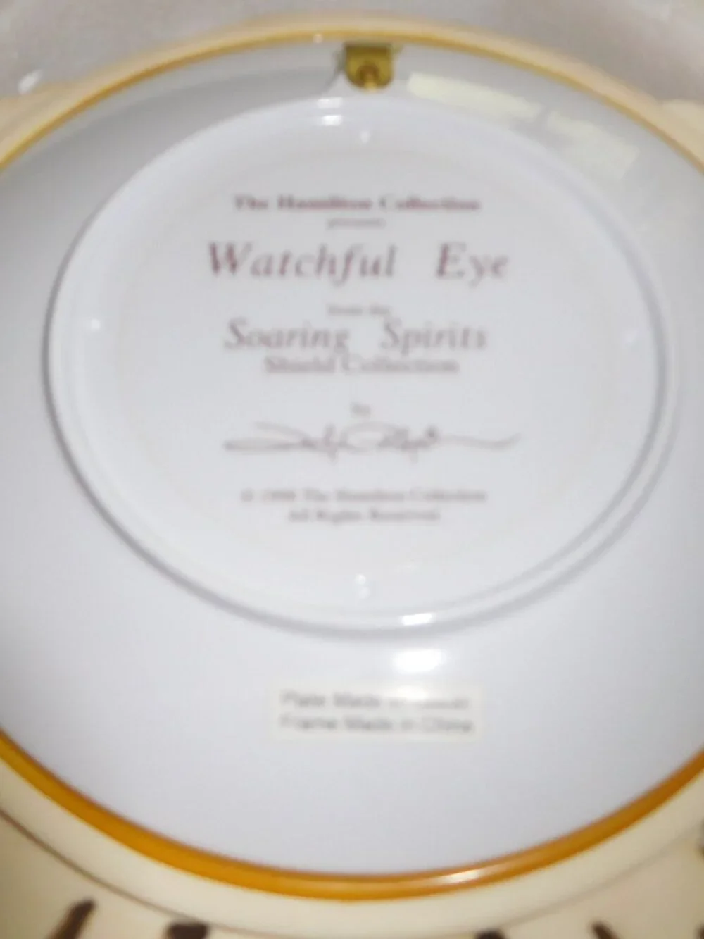 Soaring Spirits Shield Collection / Watchful Eye